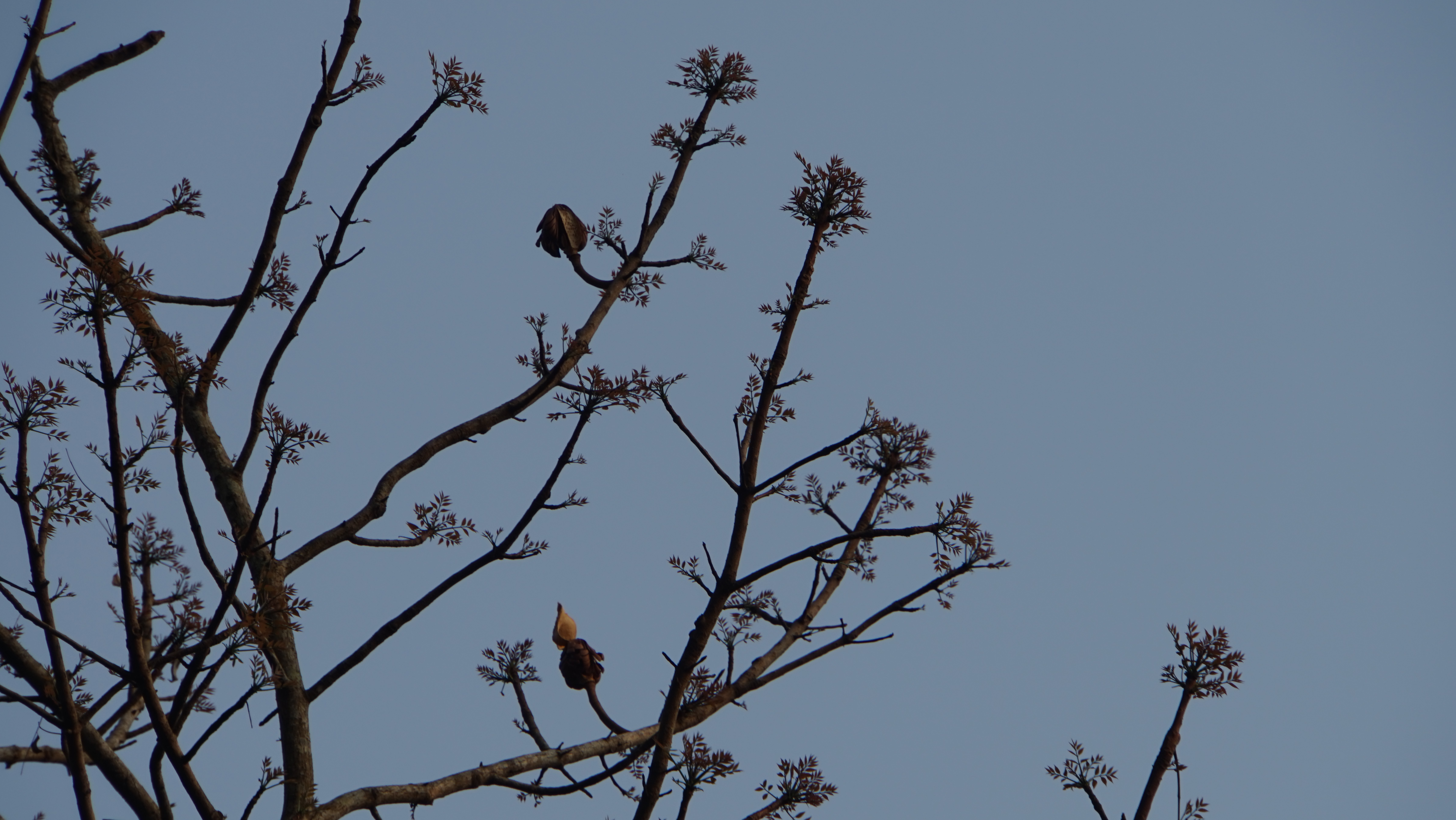 禪修開示釋疑168