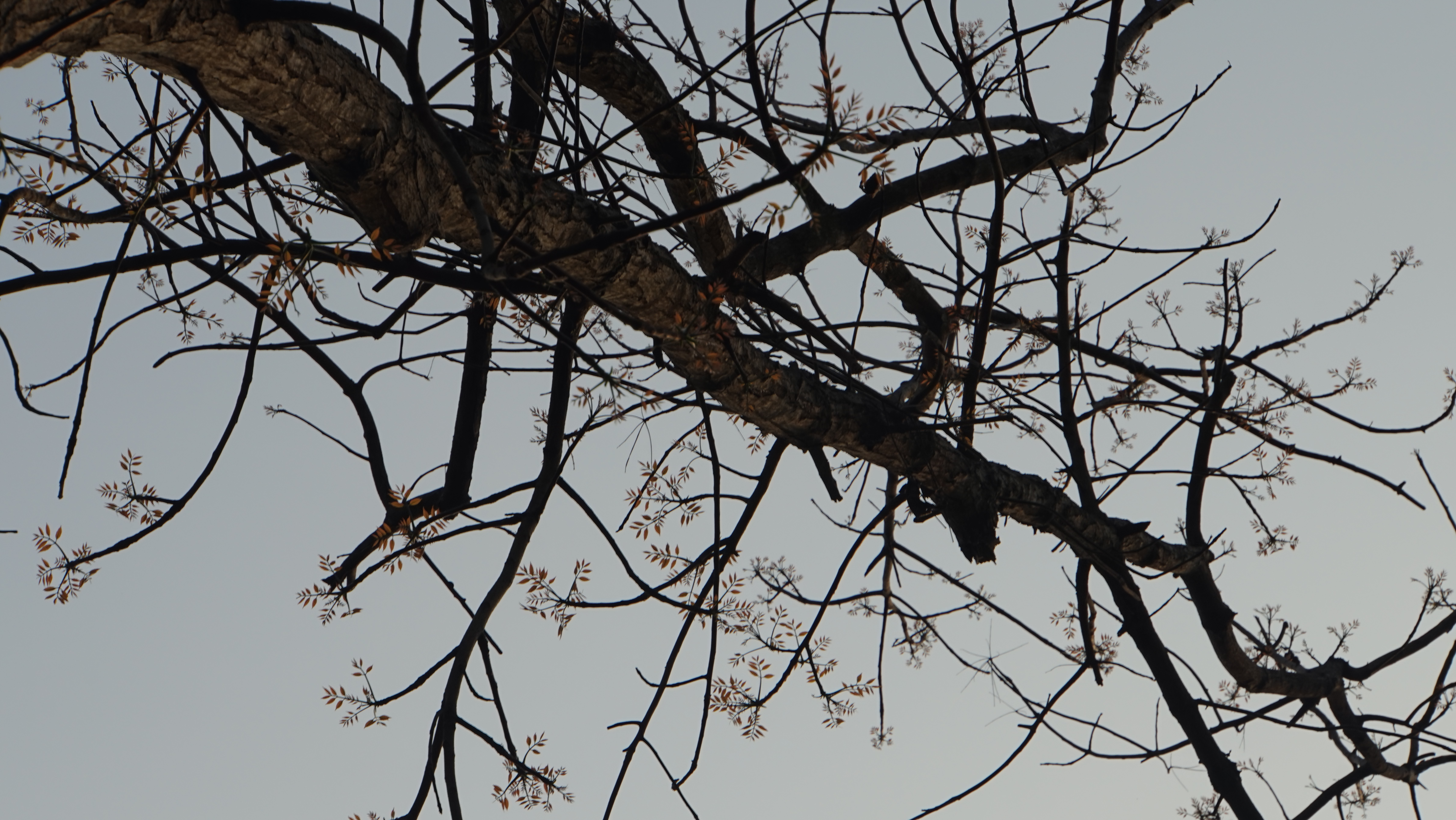 台北現場法義分享234