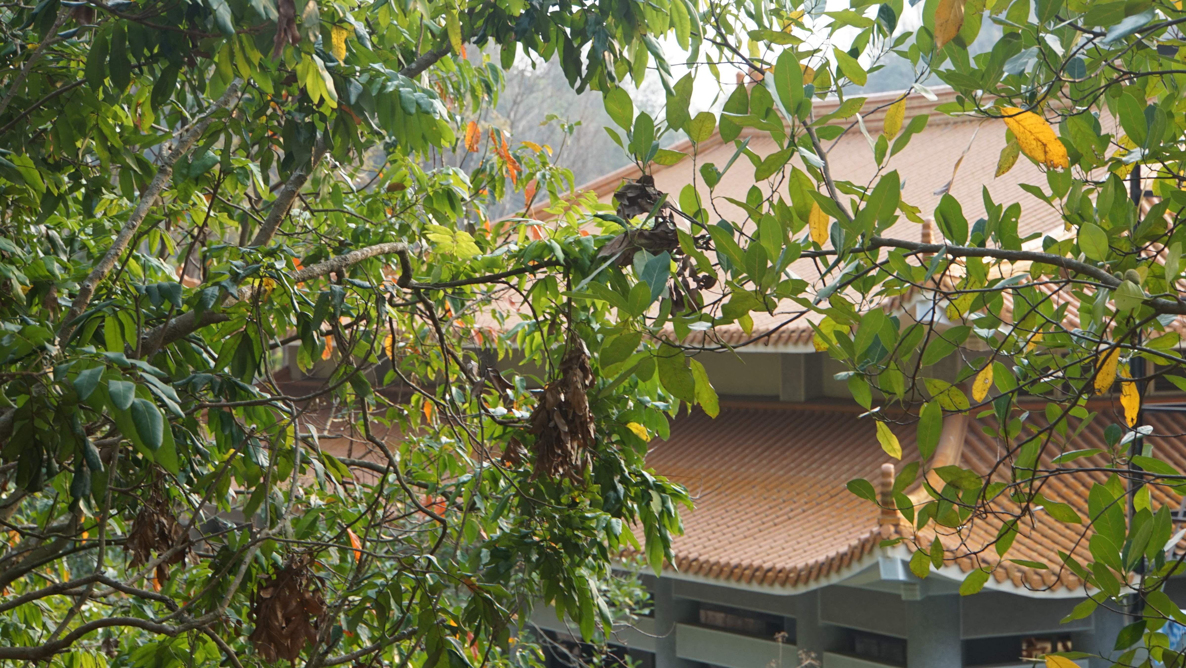 台北現場法義分享235