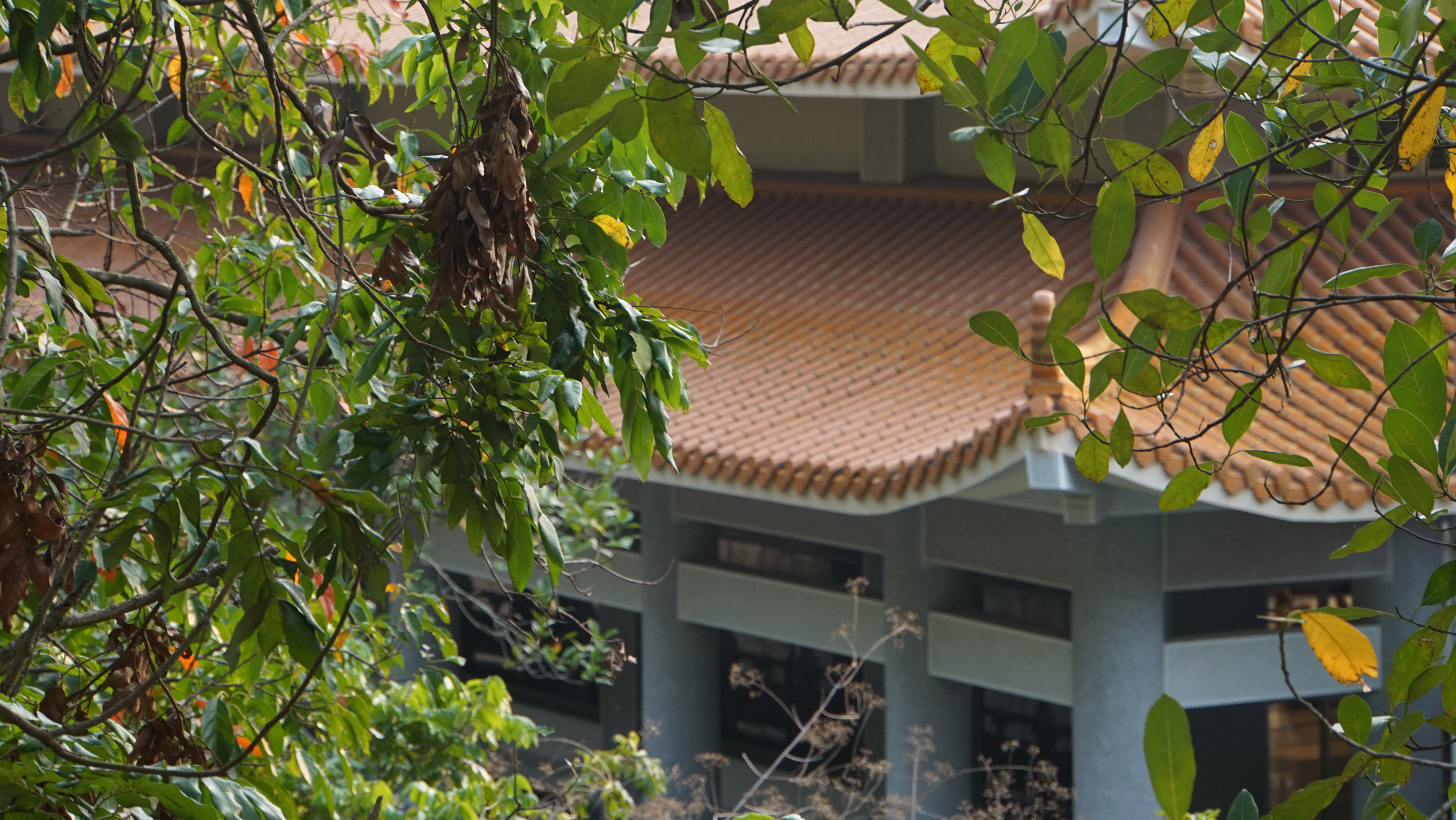 台中現場法義分享49