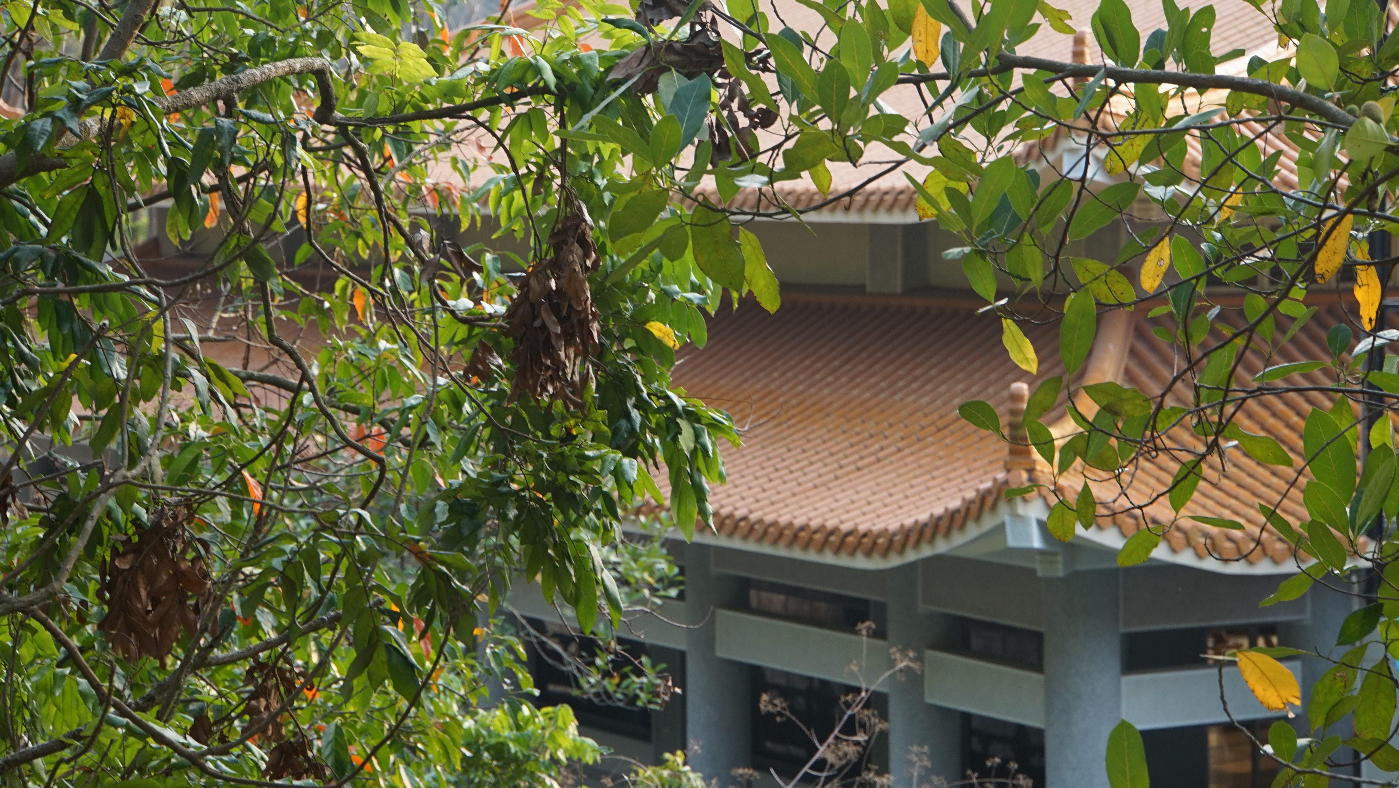 嘉義現場法義分享24