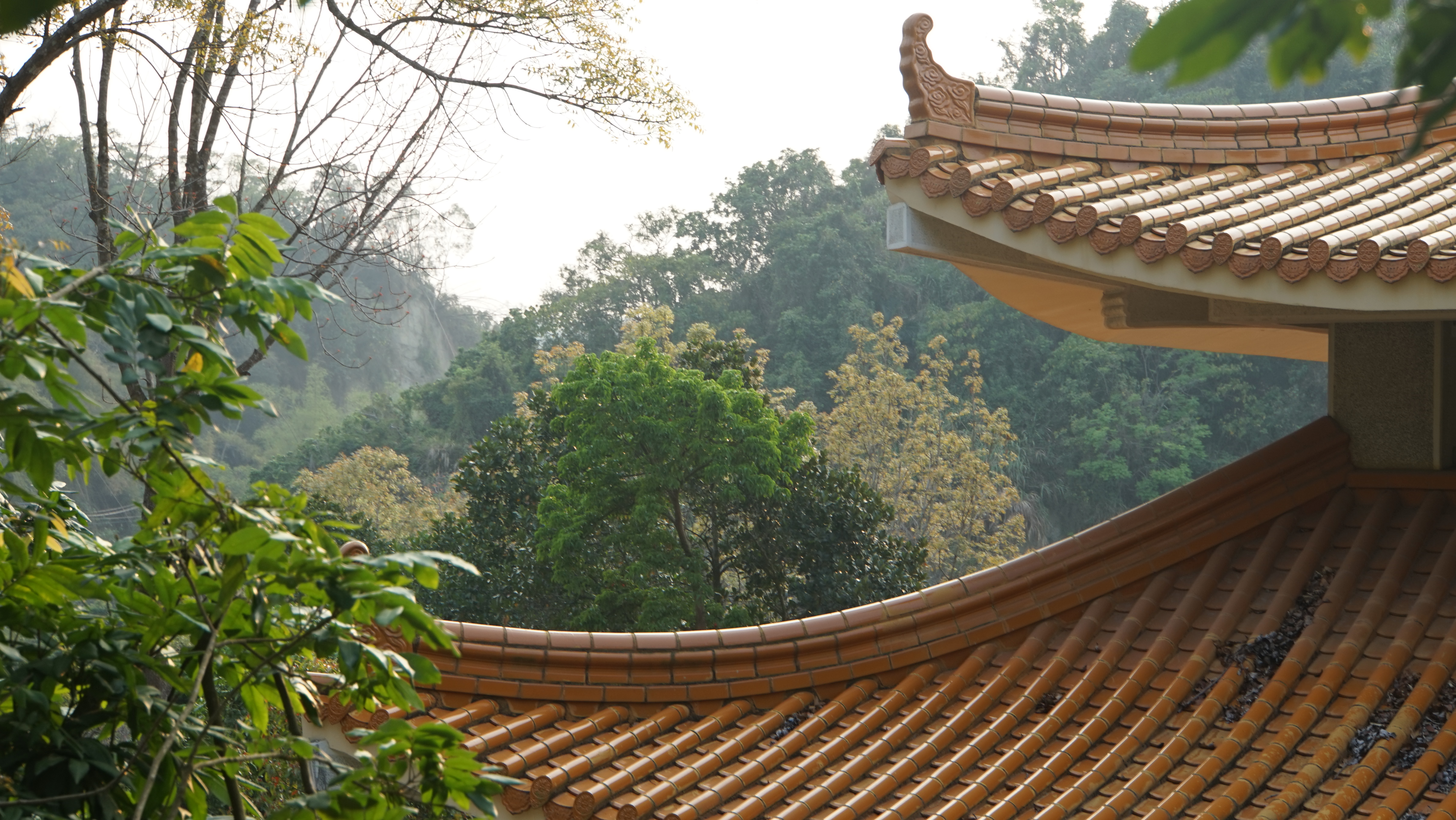 高雄現場法義分享109