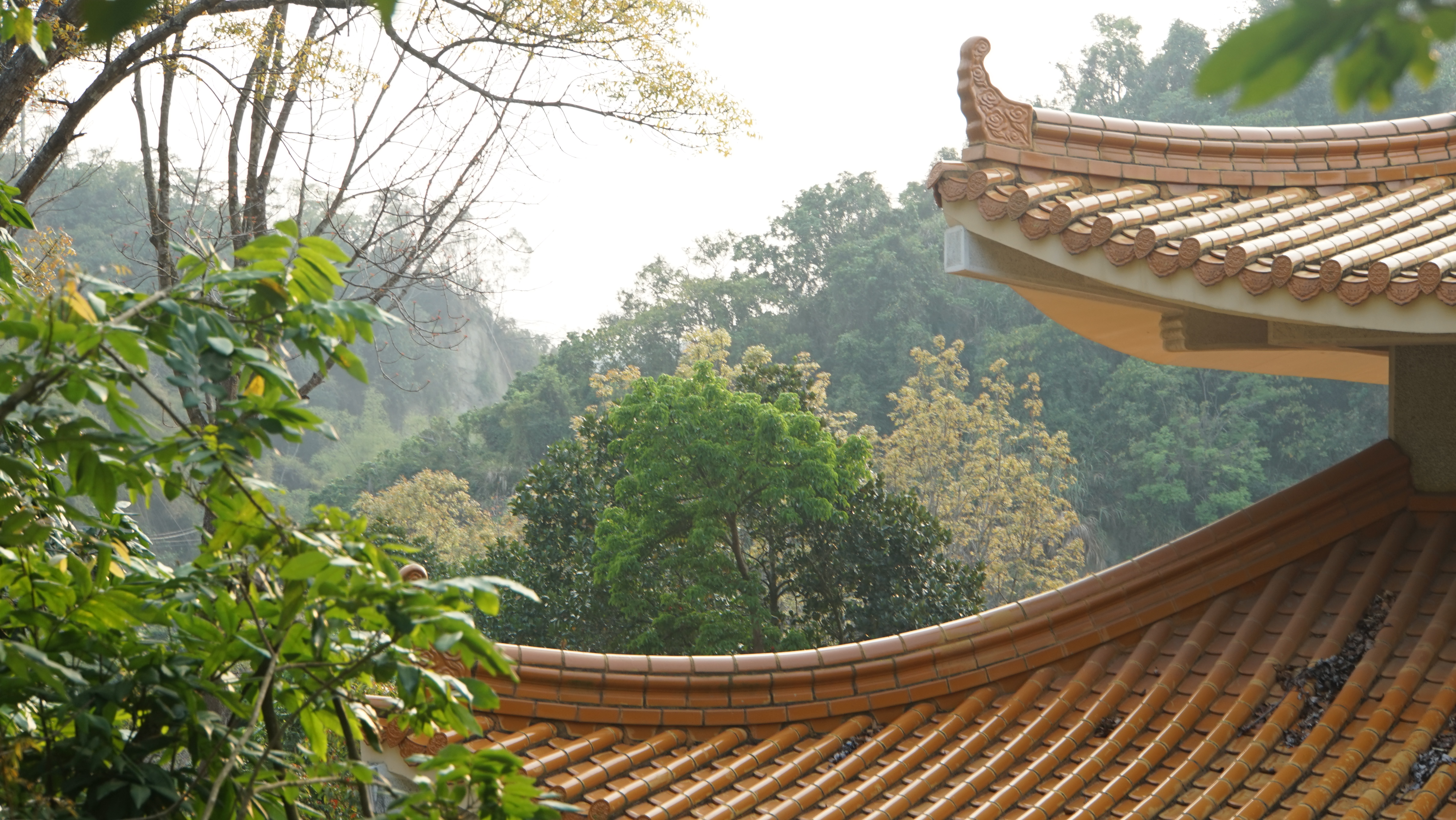 高雄現場法義分享110