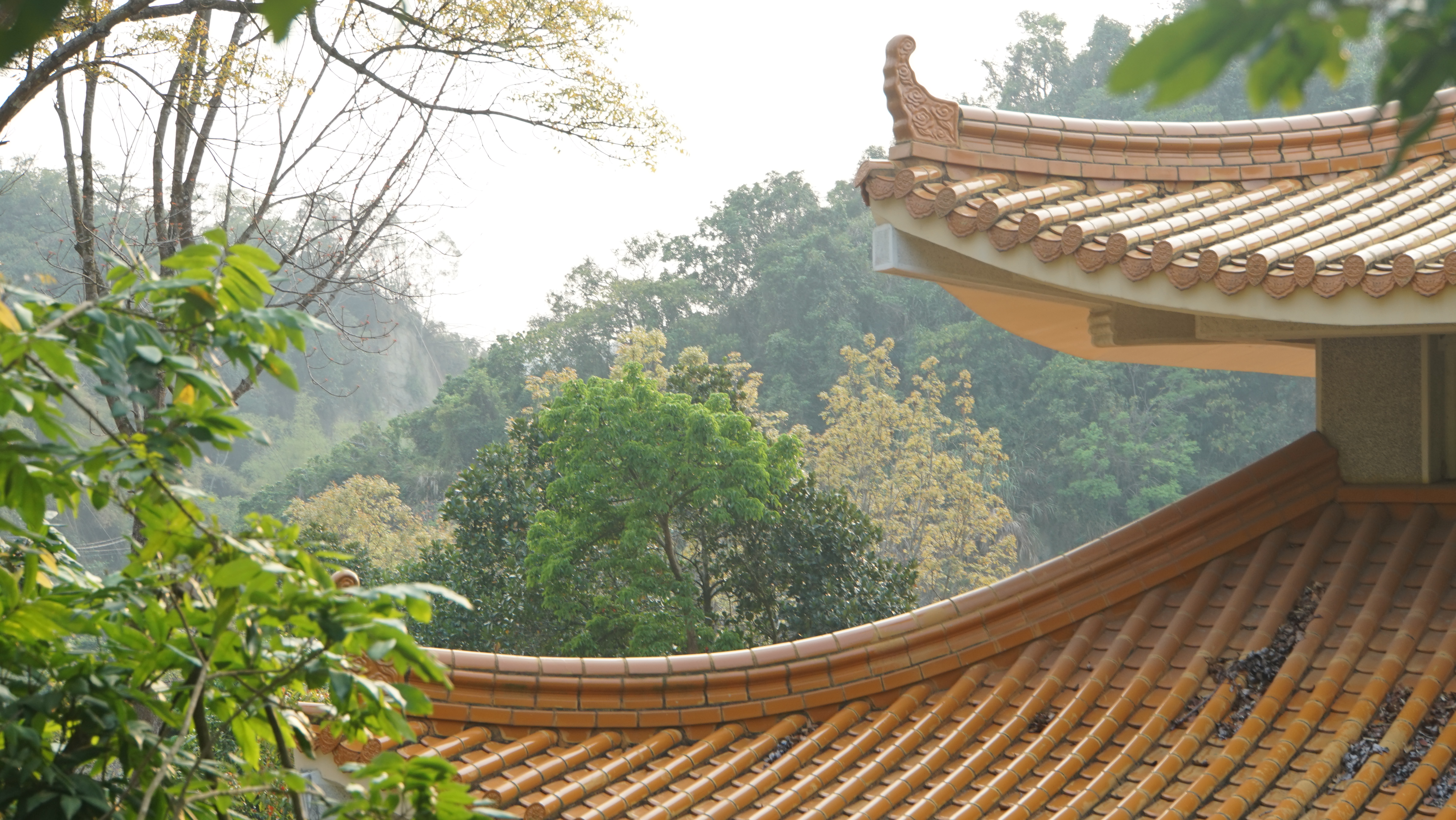 台北現場法義分享236