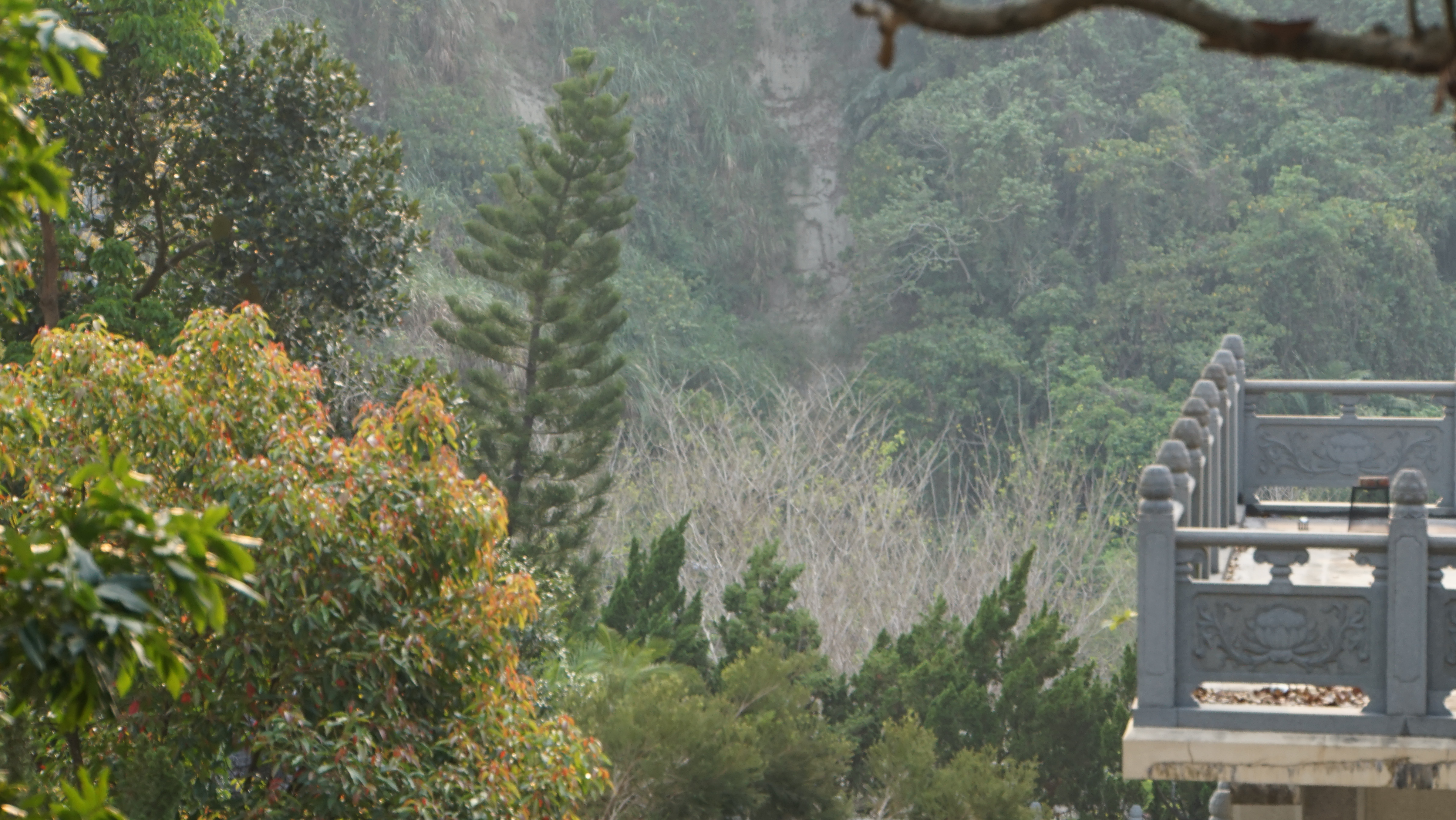 台北現場法義分享237