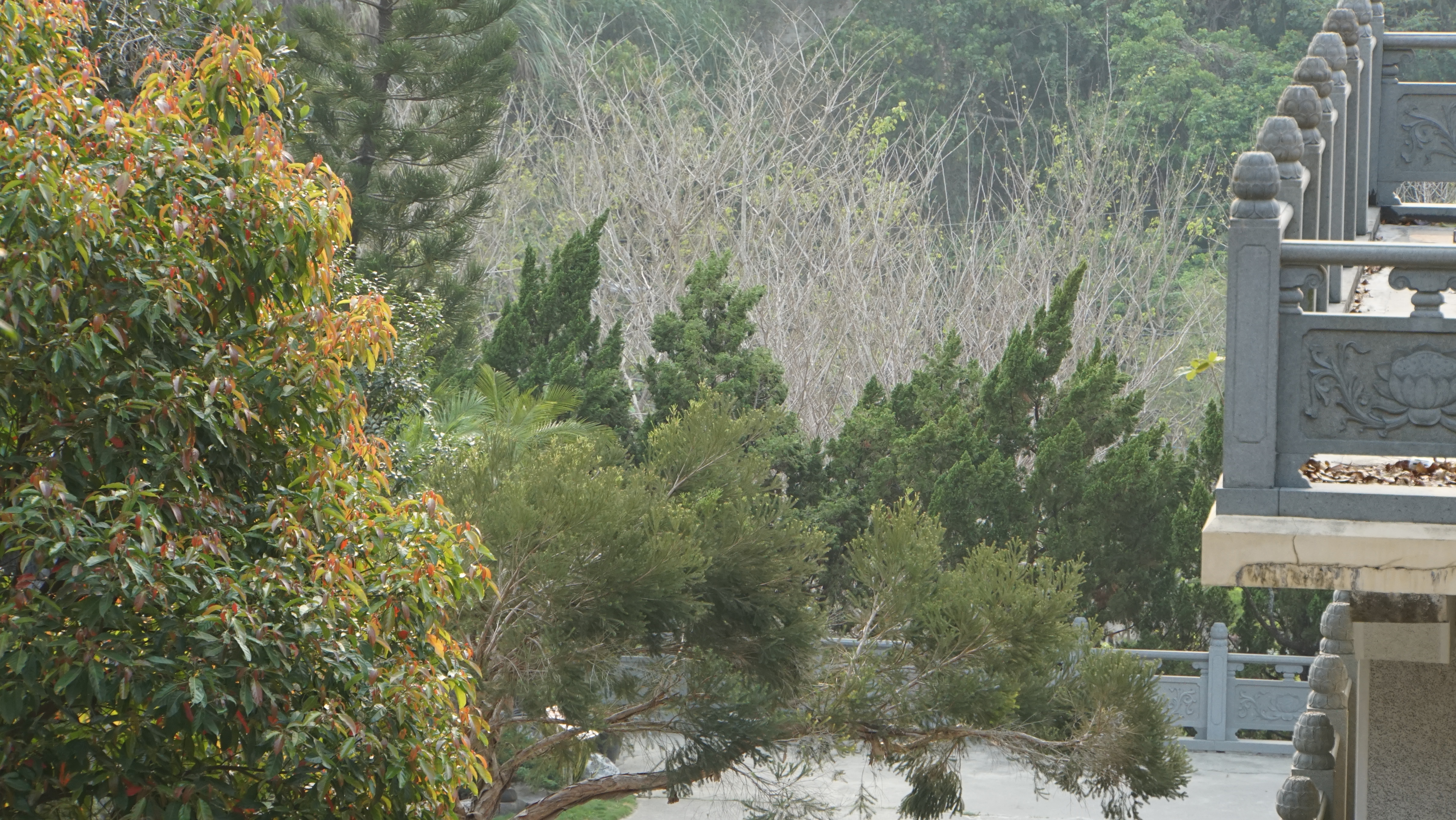 台中現場法義分享50