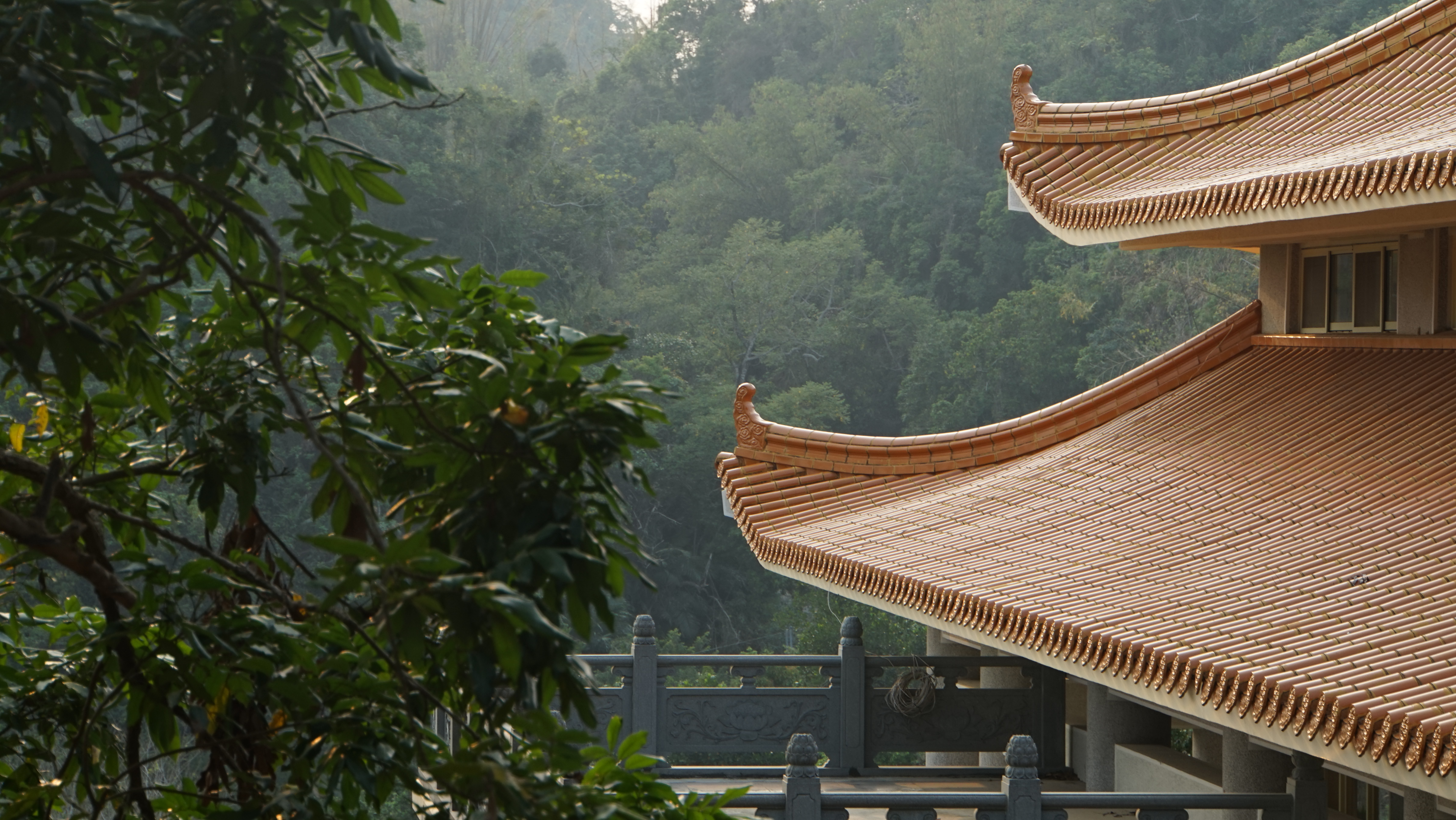 台北現場法義分享238