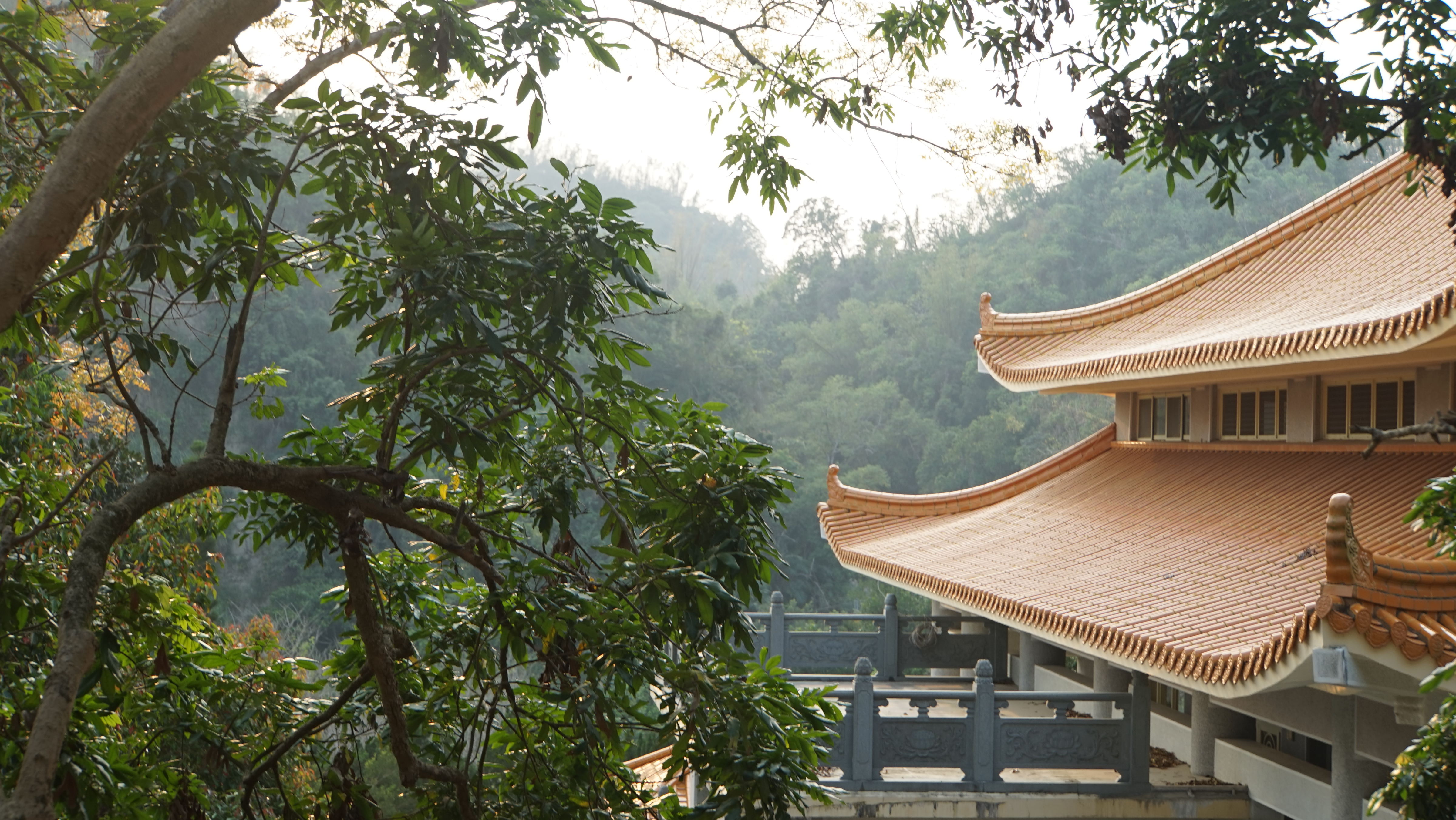 台北現場法義分享239