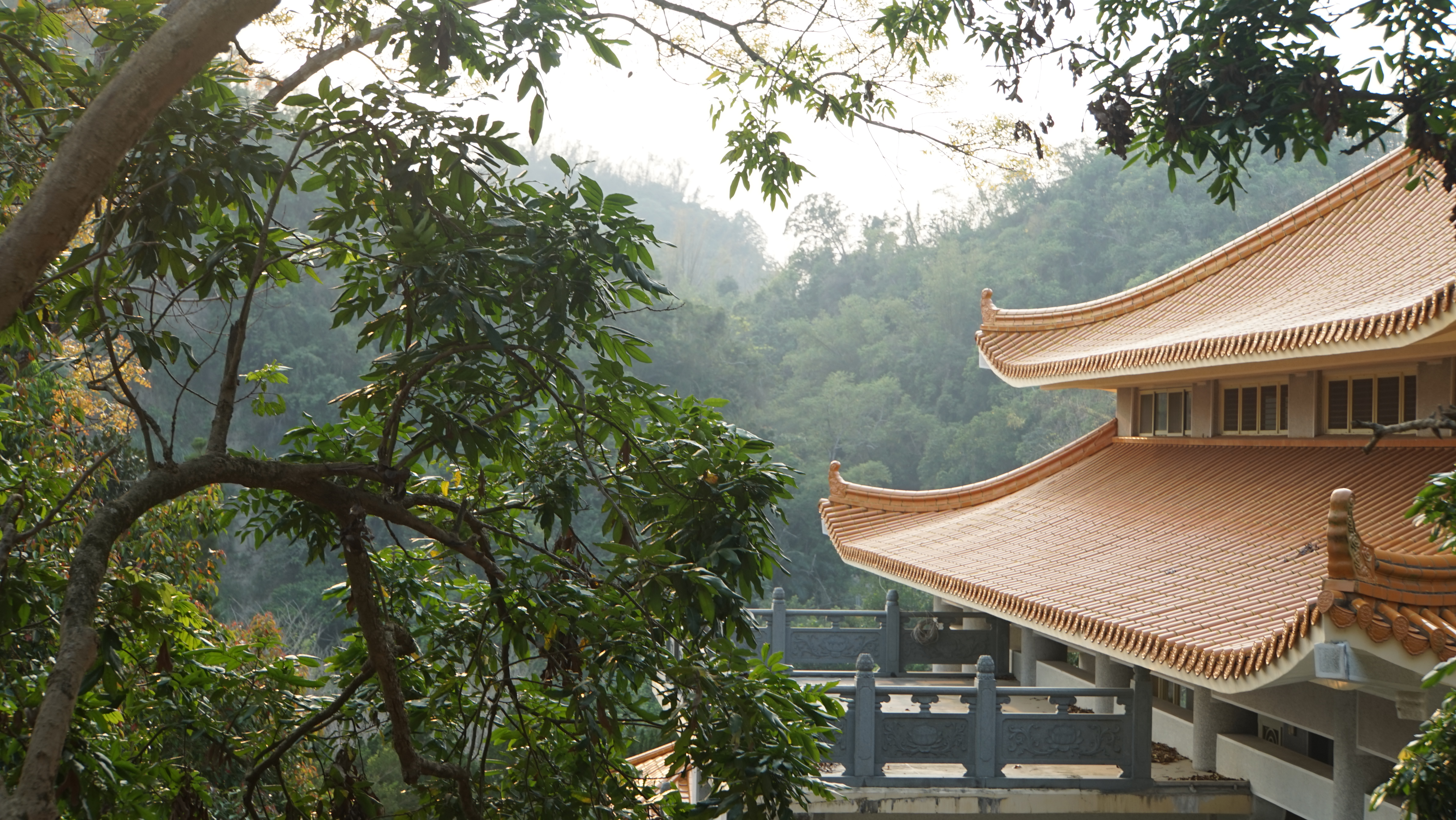 台北現場法義分享240