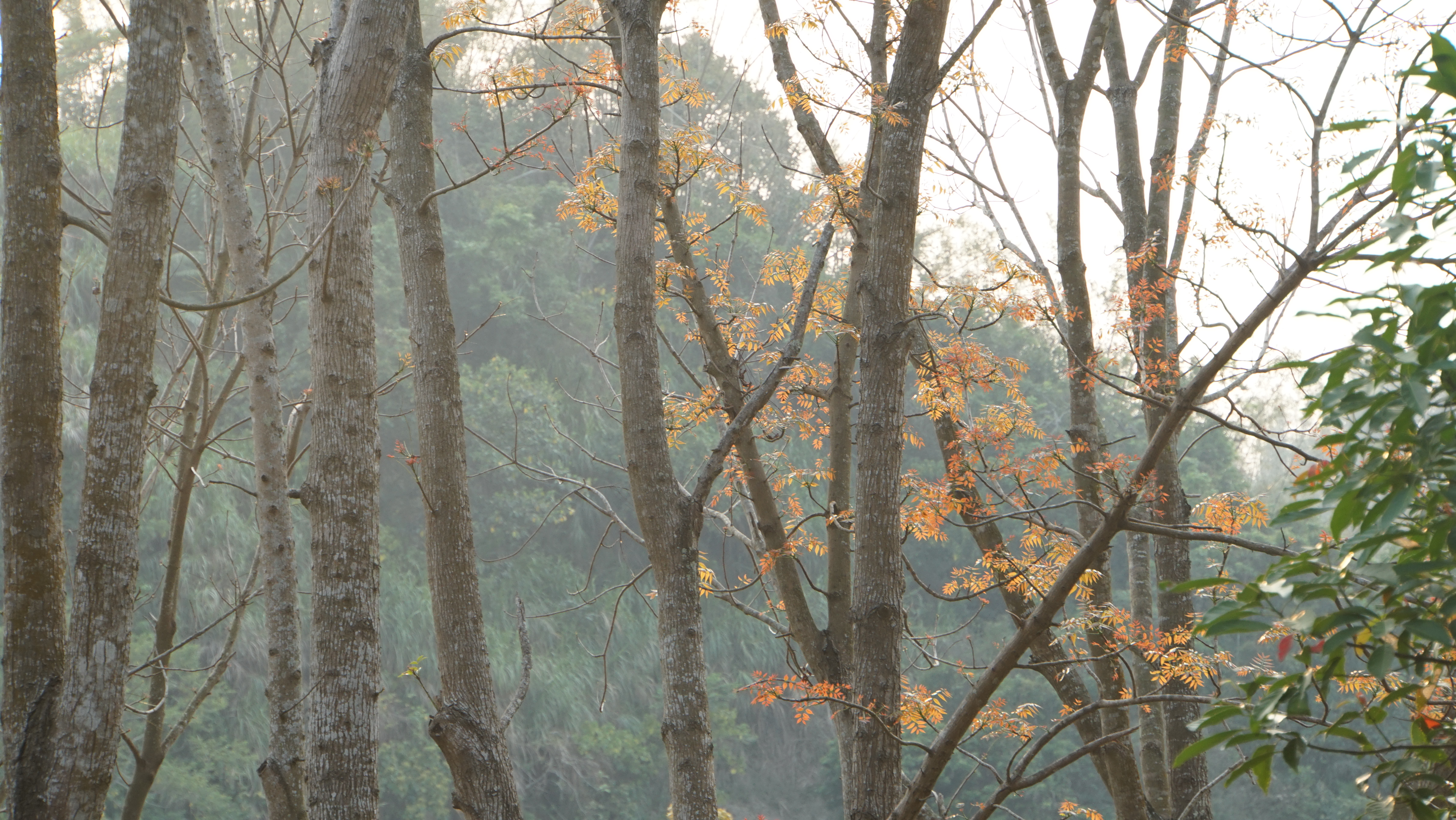台中現場法義分享52