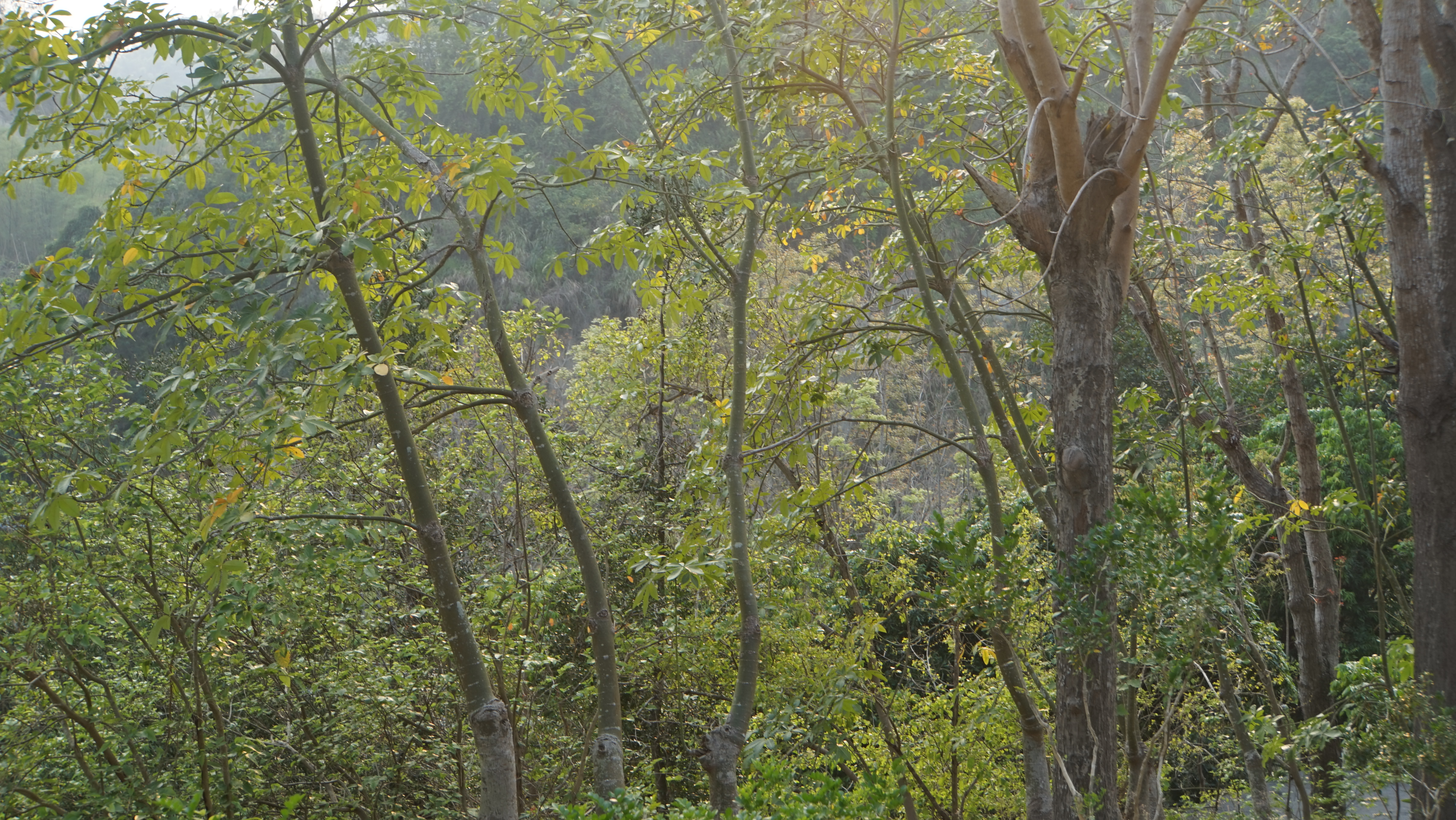 台中現場法義分享53